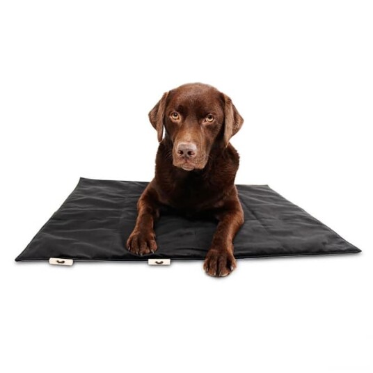 Bia Bed Bia Travel Outdoor Hundemadrass Svart (L)