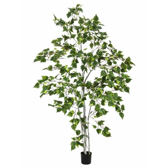 Europalms Birch Tree, 180cm Europalms Birch Tree, 180cm