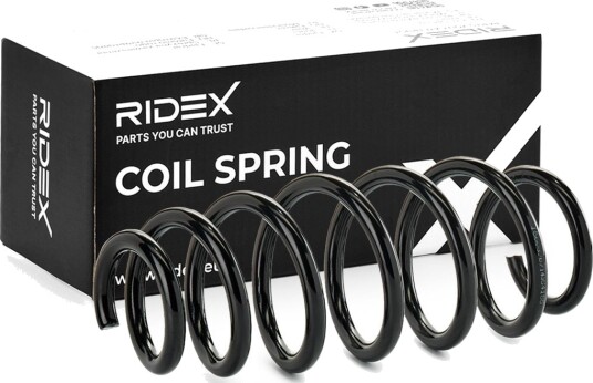 RIDEX 188C0641 Fjær