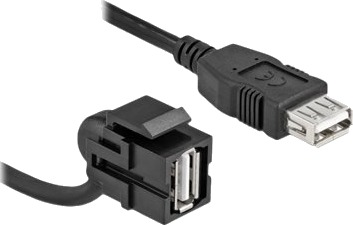 Delock Modulinnlegg 110° Angled 30 Cm Usb 2.0 Type A Svart
