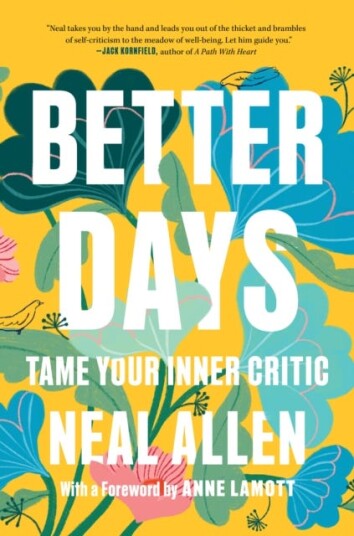 Better Days Av Neal Allen