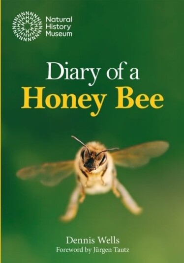 Diary of a Honey Bee Diary of a Honey Bee