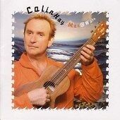 MediaTronixs Colin Hay : Man @ Work CD (2003) Pre-Owned