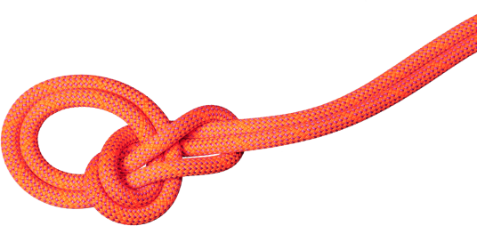 Mammut 9.8 Crag Dry Rope 80m Vibrant Orange-lavandin 80 m