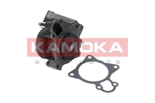 Vannpumpe KAMOKA T0097