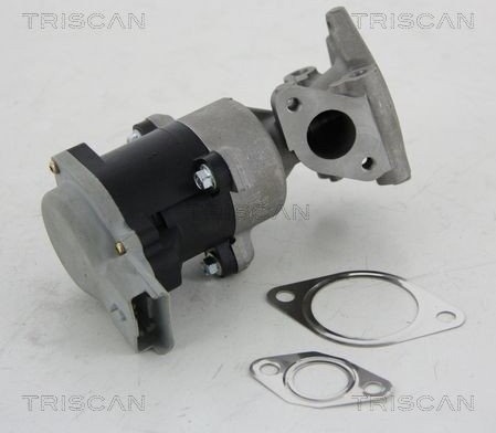 EGR ventil TRISCAN 8813 10008
