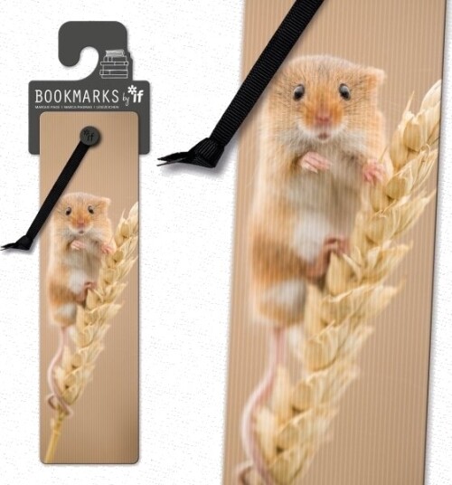 If Bokmerke 3D 15407 Mus