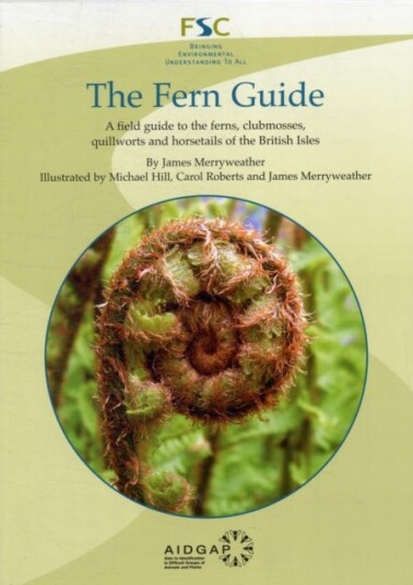 The Fern Guide A Field Guide to the Ferns Clubmosses Quillworts and Horsetails of the British Isles