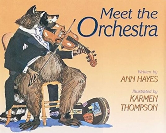 Meet The Orchestra Av Ann Hayes