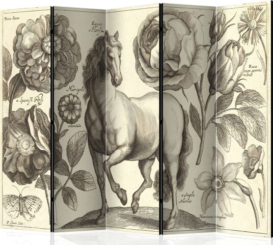 Romdeler Horse 225x172 - Artgeist sp. z o. o.