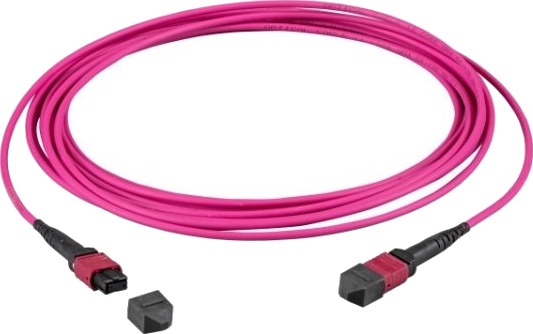 EFB Elektronik MTPF12MTPFOM4 0,5 MTP MTP OM4 fiberkabel 0,5 m