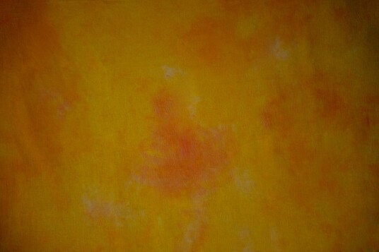Bakgrunn Mønstret - 2.9x7 m