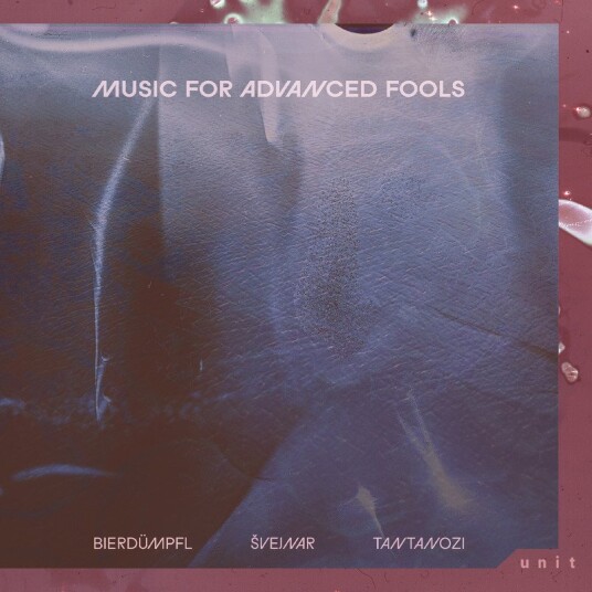 Bierdumpfl Music For Advanced Fools Vinyl