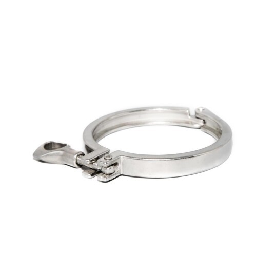 Tri Clamp, 3" Brewtools
