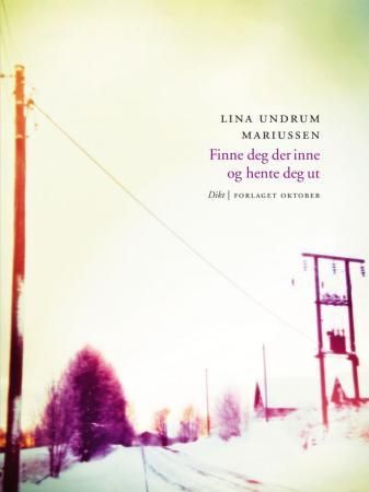 Finne deg der inne og hente deg ut (Pocket)