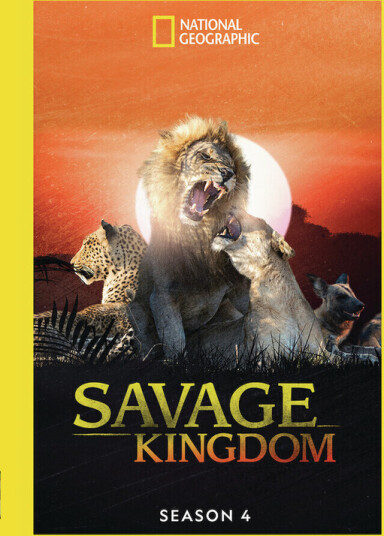 Savage Kingdom Sesong 4 DVD