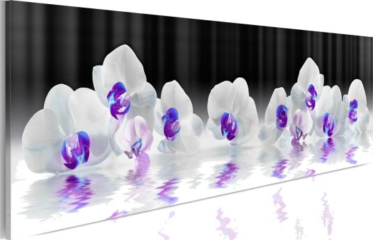 Bilde Water Orchids 135x45 Artgeist sp. z o. o.