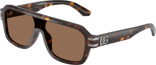 Dolce & Gabbana Herre Accessories Brun ONE SIZE,
