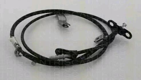 Bremsewire TRISCAN 8140188