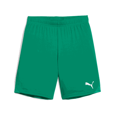 Puma Teamgoal Shorts Jr 05 Sport Green-Puma White 140