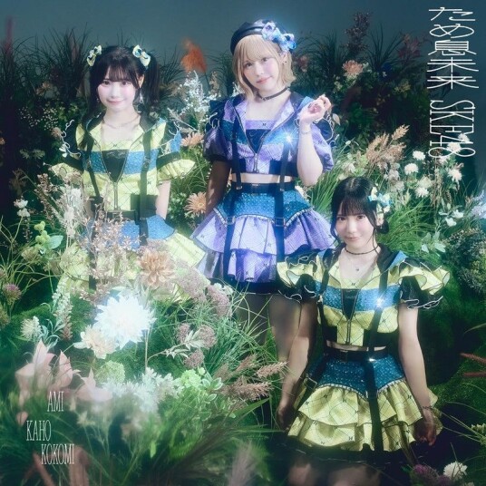 Ske48 Untitled Limited Edition C CD