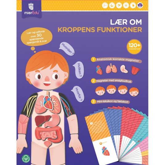mierEdu Magnetic Learning Box All About Body and Emotion Danish ME097D