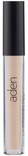 Aden Liquid Concealer Light 01