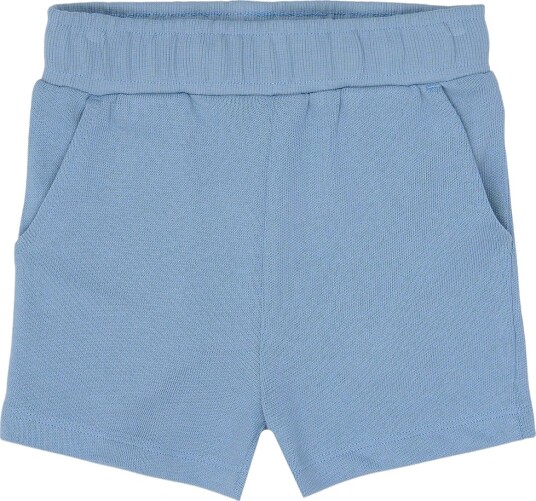 The New Tnststeward Shorts Blue 92 The New Tnststeward Shorts Blue 92