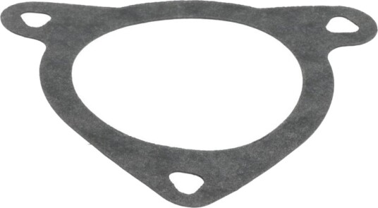 Tetning eksosmanifold LEMA 24960.09 Tetning eksosmanifold LEMA 24960.09