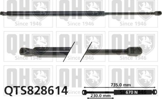 QUINTON HAZELL QTS828614 Baklukedemper
