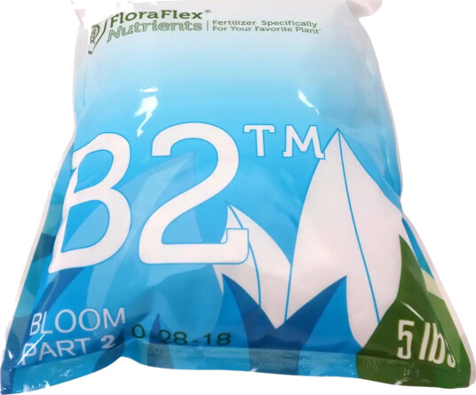 B2 Bloom – Part 2