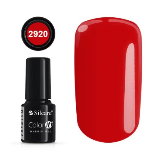 Color It Premium Gellack *2920 UV-gel/LED