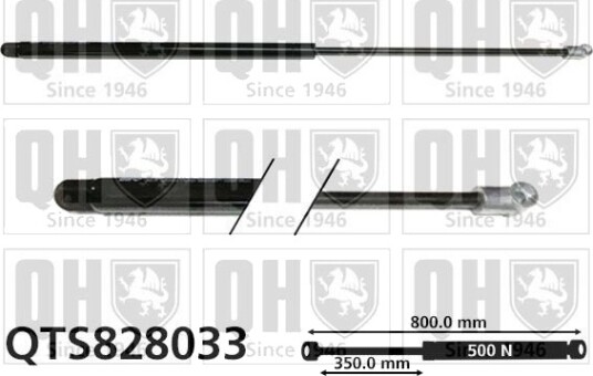 QUINTON HAZELL QTS828033 Baklukedemper