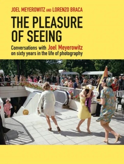 The Pleasure Of Seeing Av Meyerowitz & Braca The Pleasure Of Seeing Av Meyerowitz & Braca
