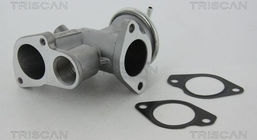 EGR-ventil TRISCAN 8813 24031