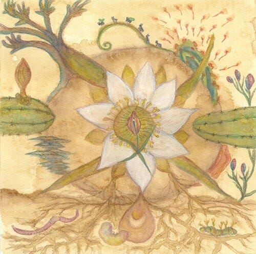 Markandeya  Vision Versions: Joaquin Cornejo Meets Markandeya  LP/Vinyl