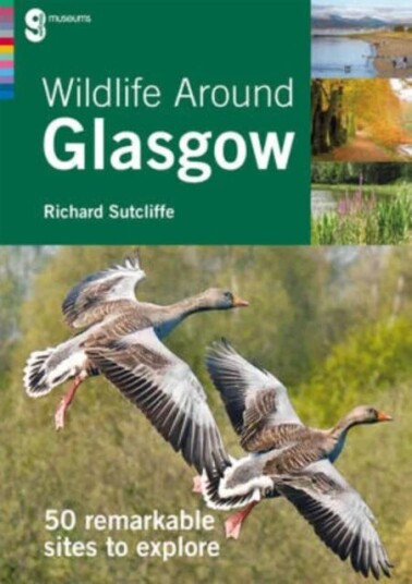 Wildlife Around Glasgow Av Richard Sutcliffe Wildlife Around Glasgow Av Richard Sutcliffe