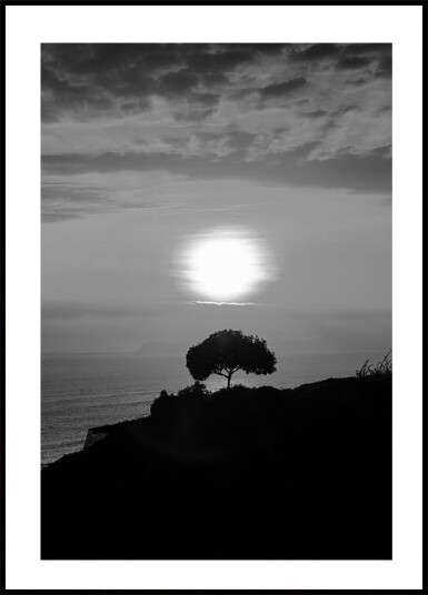 One Tree At Sunset Plakat Plakat / 100x150cm