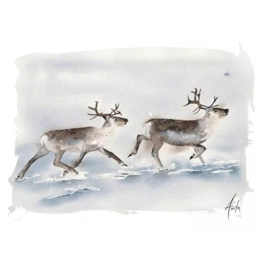 Nordicwild Kunsttrykk Reinsdyr 30x40cm Akvarellpapir