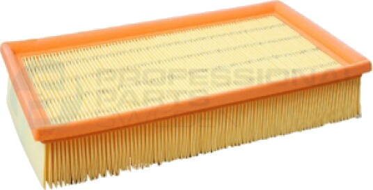 Luftfilter Professional Parts 24346074