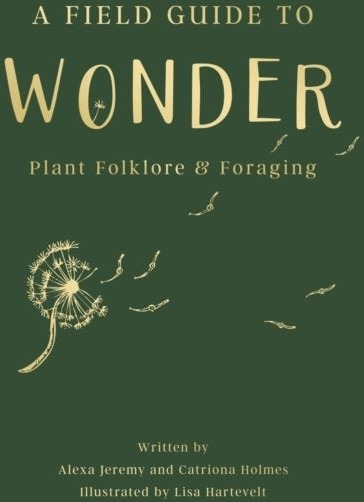 A Field Guide to Wonder