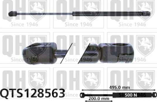 QUINTON HAZELL QTS128563 Baklukedemper
