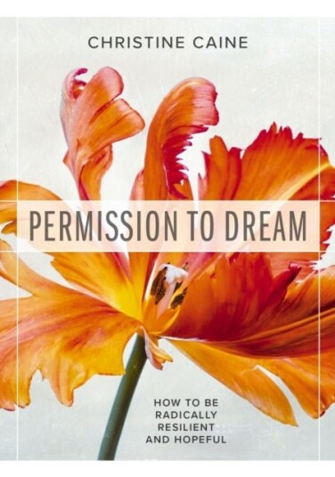 Permission to Dream Permission to Dream