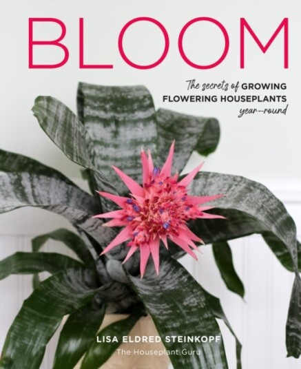 Bloom  The secrets of growing flowering houseplants yearround