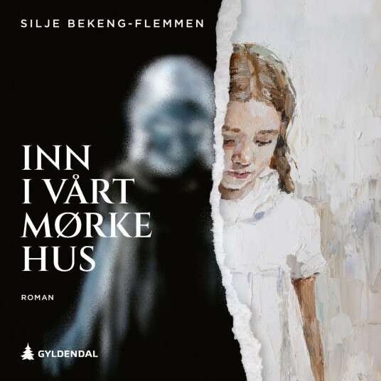 Inn I Vårt Mørke Hus Av Silje Bekeng-Flemmen