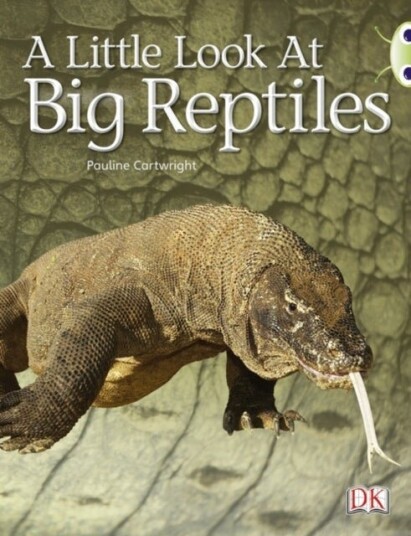 Bug Club Guided Non Fiction Year 1 Blue B A Little Look at Big Reptiles Bug Club Guided Non Fiction Year 1 Blue B A Little Look at Big Reptiles
