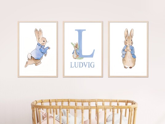 Plakater Kanin / Blå / personlig tilpasset / sett med 3