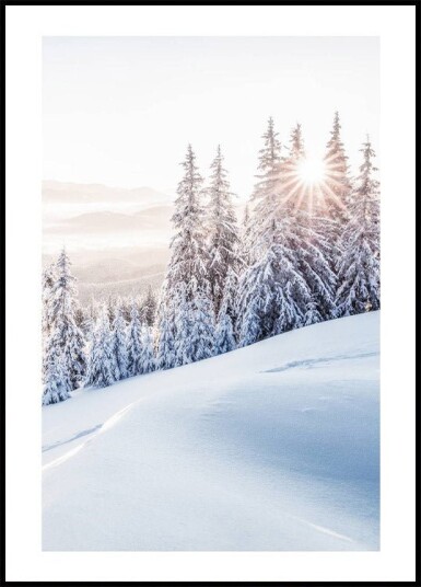 Winter Sunrise Plakat Plakat / 40x50cm