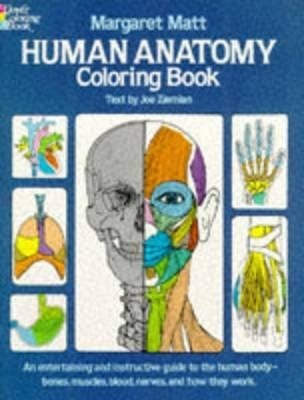 Human Anatomy Human Anatomy
