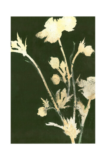 Malerifabrikken Poster Pure Nature 6 1682741-01-48